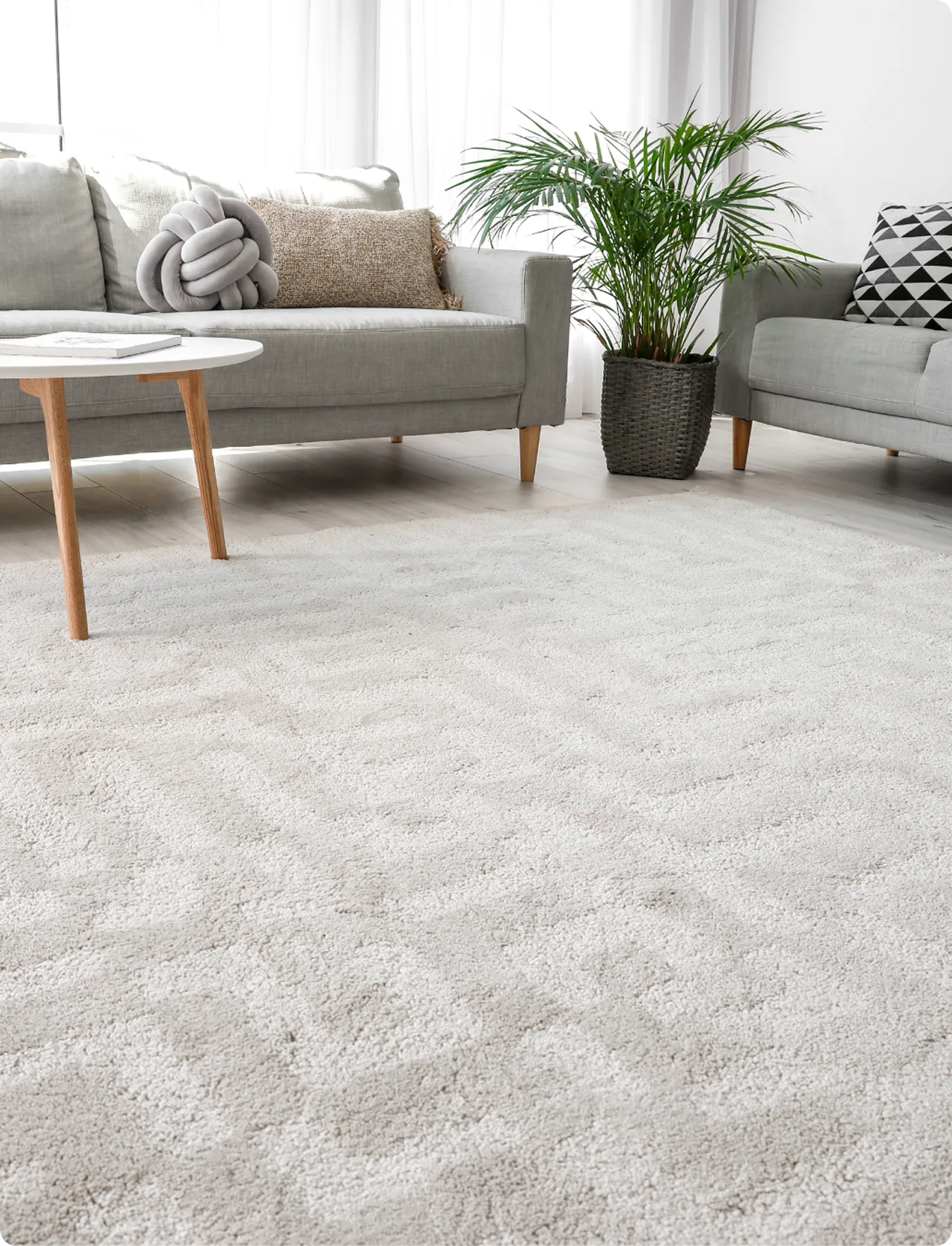 Wohnzimmer mit hellem, flauschigem Teppichboden und Sofa